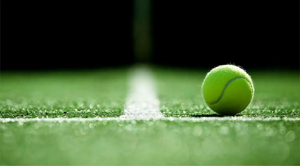 Wimbledon: Where Tradition Meets Triumph - Interesting Facts